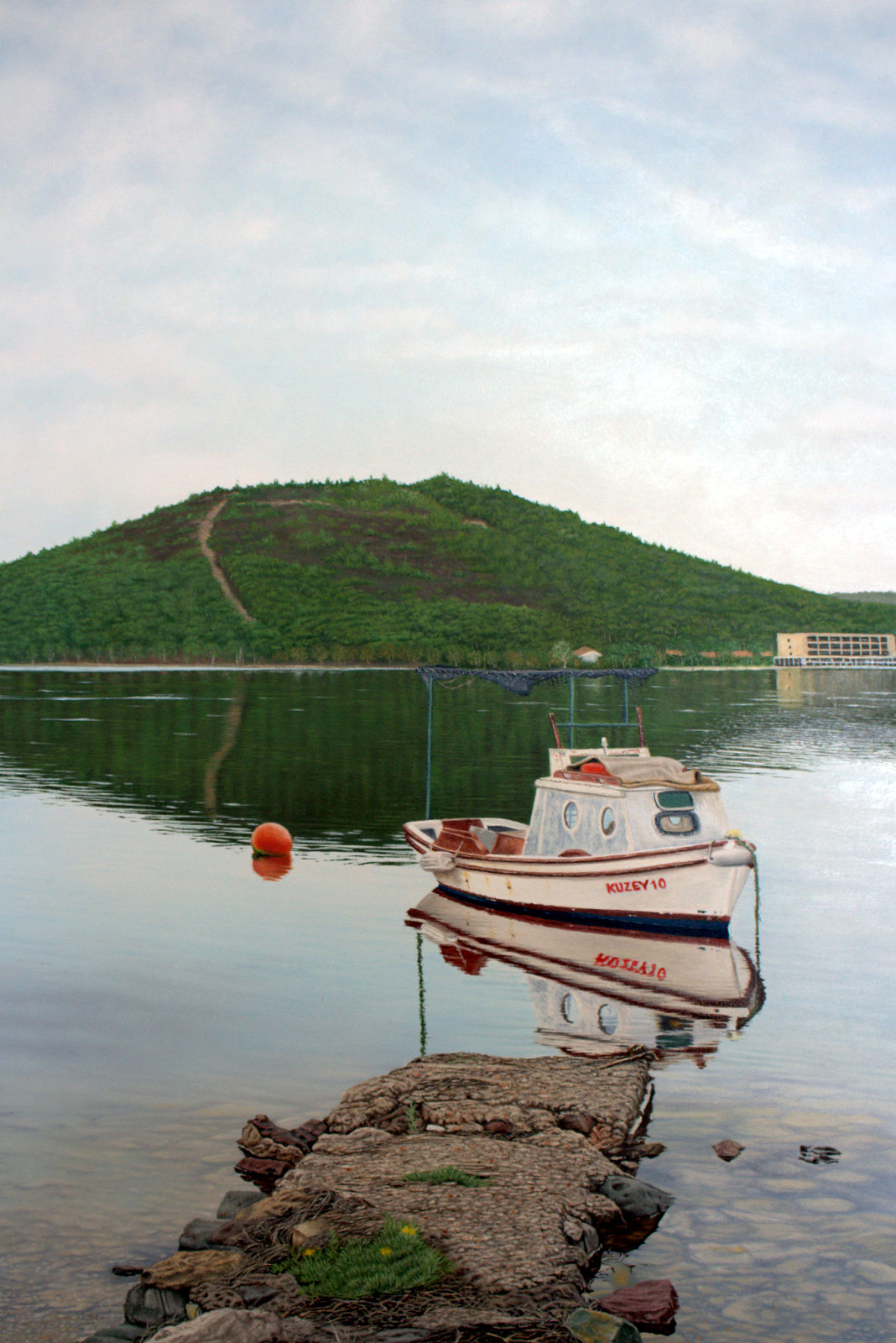 Ali Altın